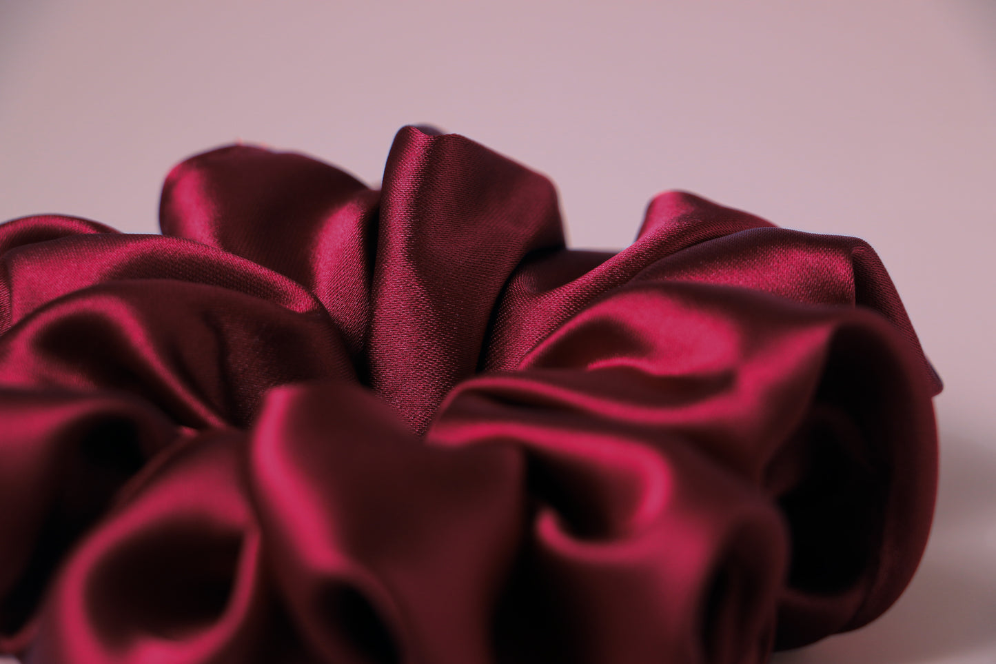 Crimson Camellia