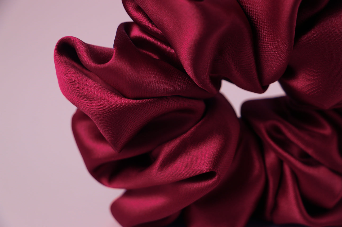 Crimson Camellia