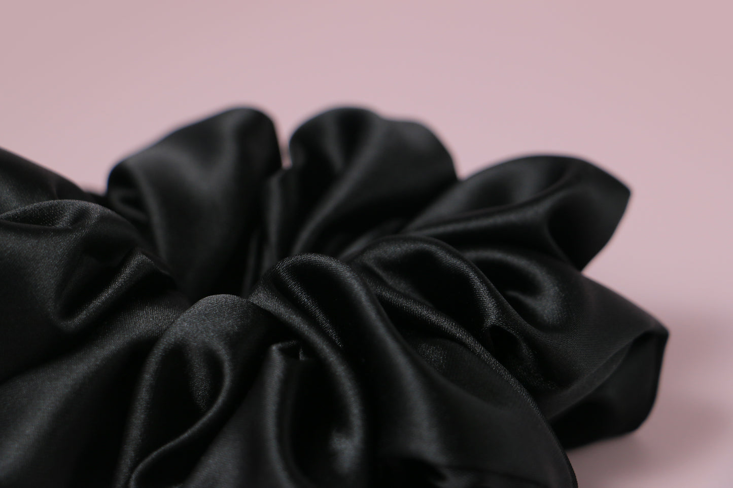 Midnight Dahlia